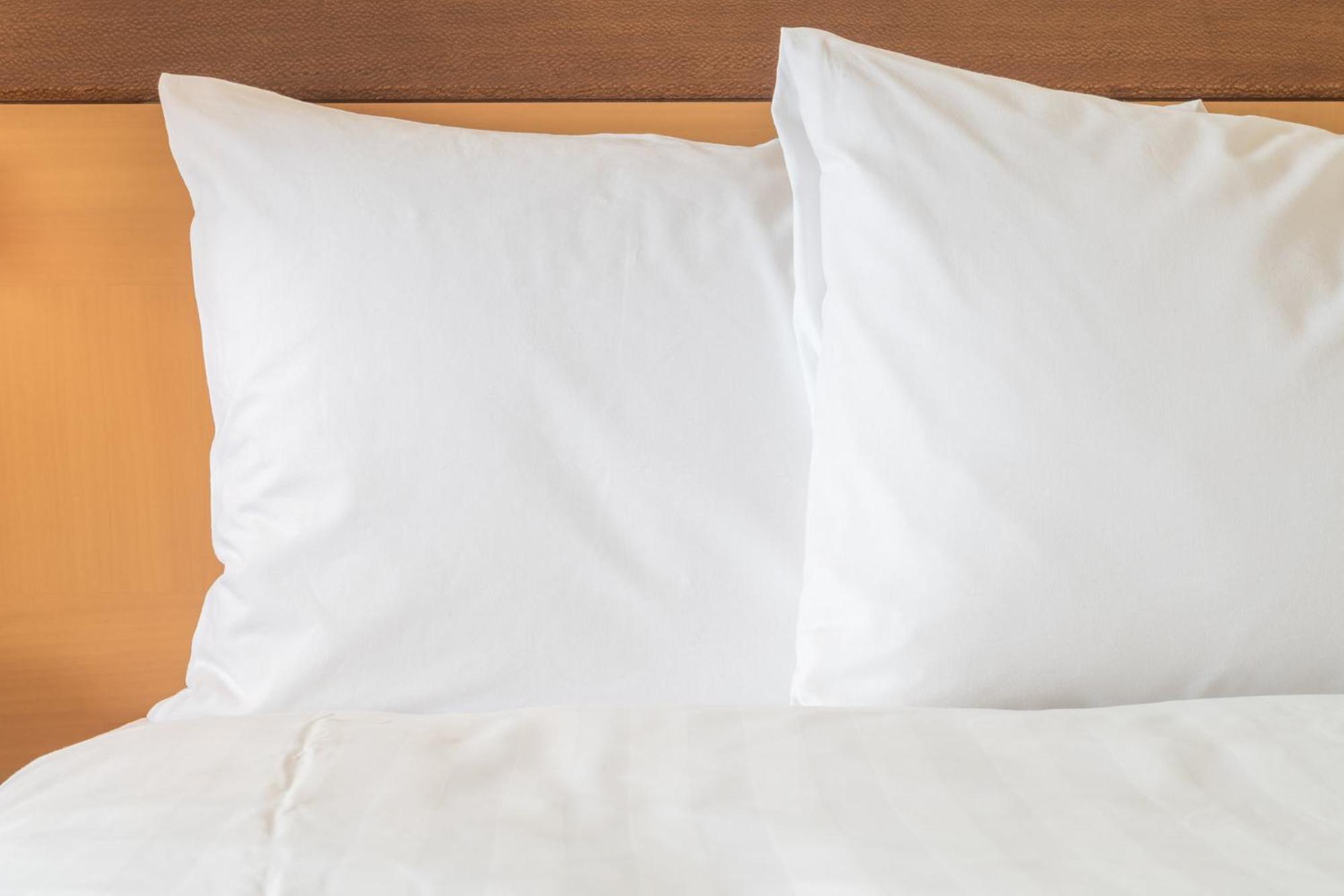 Holiday Inn Express & Suites Tampa Stadium - Airport Area By Ihg Eksteriør billede